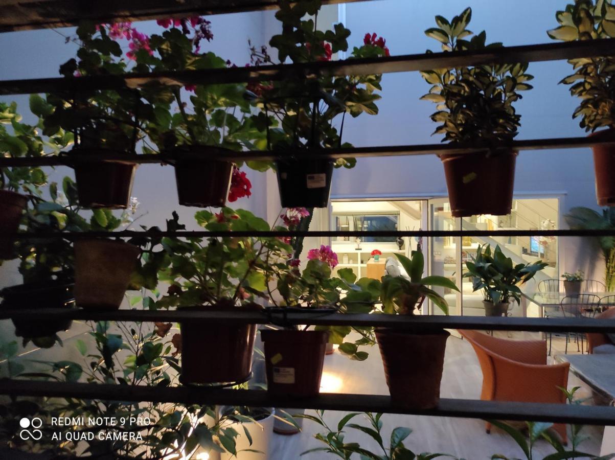 Habitacion Y Bano En Planta Independiente En Centro De Sevilla Eksteriør bilde